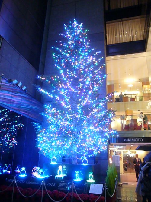 MIKIMOTO本店のツリー。本物の木です。