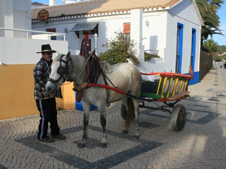 観光用馬(ロバ)車を管理する男性も、英語がペラペラ！