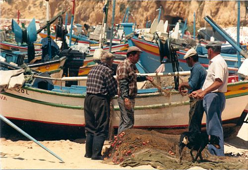 語学達者な、漁師の人たち。
