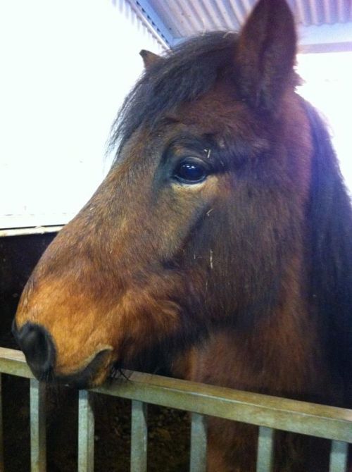 近くから見ると、より可愛いですね…