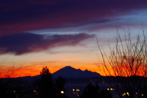 いろんな表情を見せてくれます