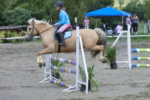 小さな子供が、大きな障害を軽々と越えます。