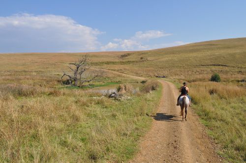 乗馬は競技だけでなく、アウトライド（平原で周遊）も楽しめます。
