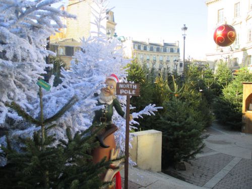 サパンデノエル（クリスマスツリー）がいっぱい