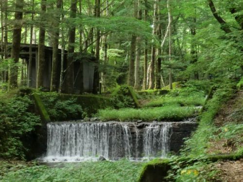 日本の避暑地として有名な軽井沢