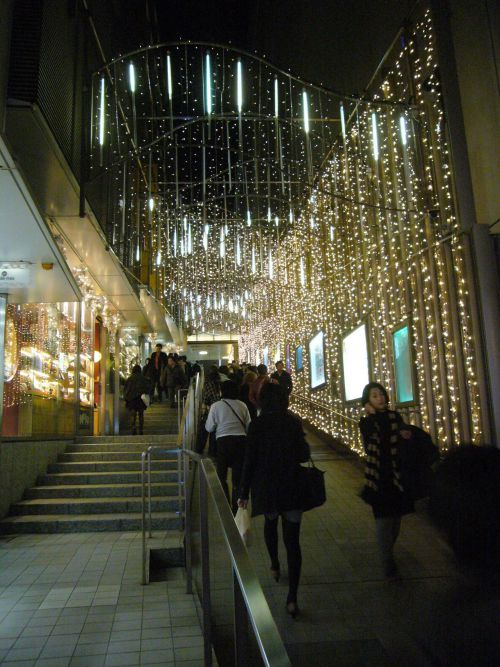 「星降る夜空」をイメージしたイルミネーション。