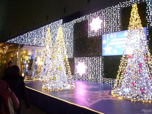 キラキラのツリーが並びます。