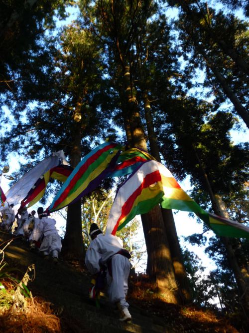 最後の力を振り絞って　駆けのぼります