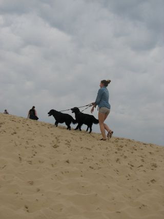 犬の散歩で大人気の砂丘