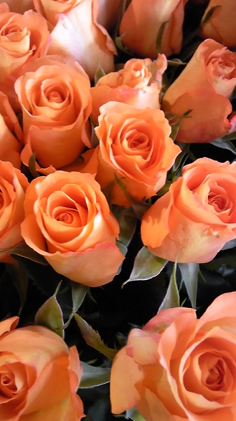 バラの花束も大人気です