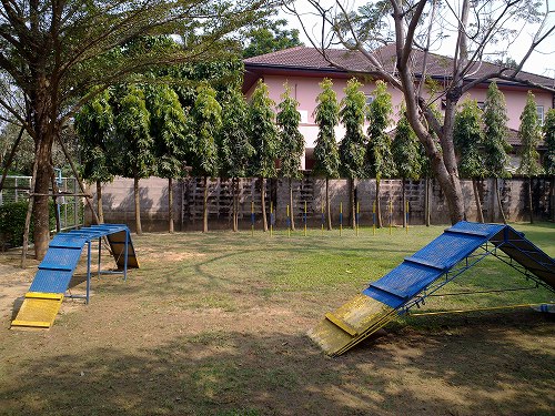 トレーニング用の道具もあるドッグラン