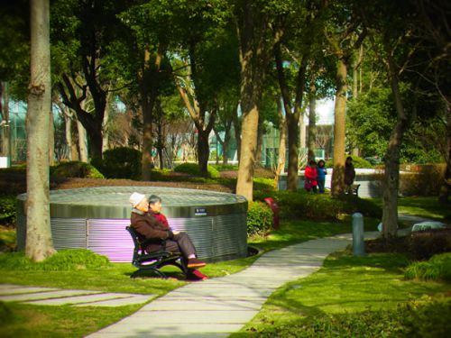 夫婦でのんびり過ごす昼下がり