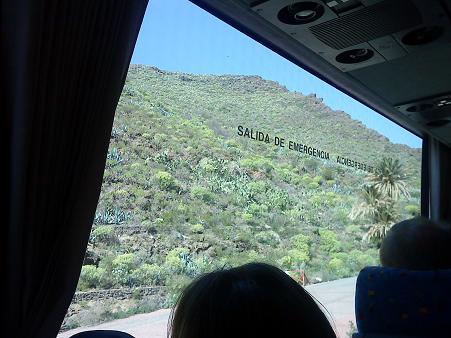 バス車窓からもアロエ・ベラが雑草のように生えているのを見かけました。