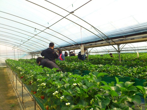 天気の良い日曜、親子連れを多く見かけました