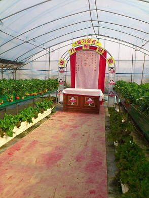 日本のタレントが結婚式を挙げたというハウス