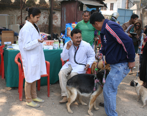 チェックアップをしてエントリー。