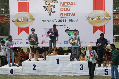 やはり人気はジャーマンシェパード