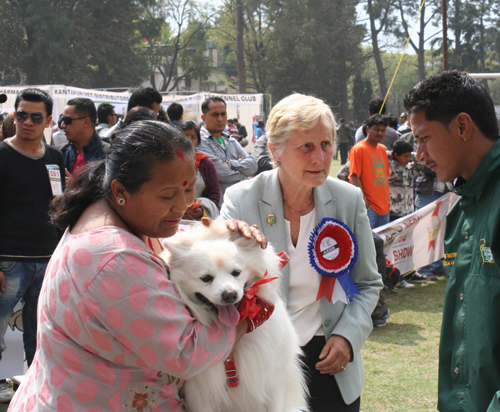 ティカをつけて挑みました。