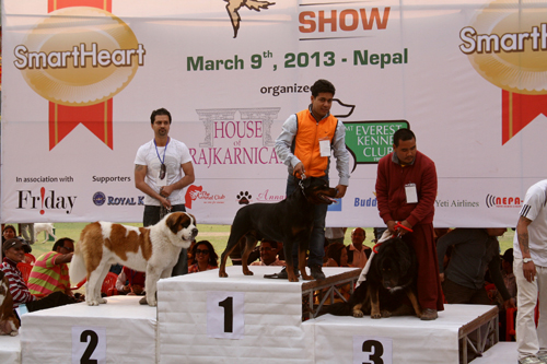 惜しくも優勝はロットワイラーに譲りました。