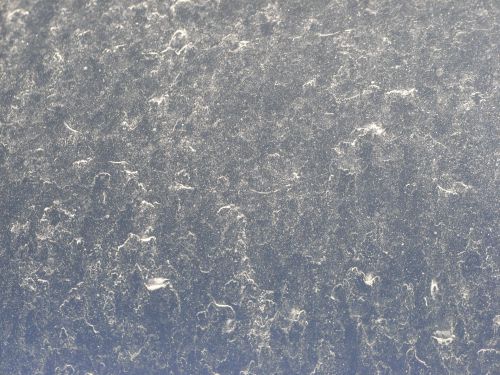 黄砂（名古屋）