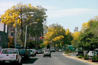 通るのも楽しくなるってもんです。