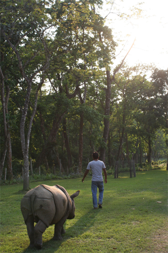 現地ではインドサイの本を販売していました。タイトルは「ぼくの角は薬じゃないよ」