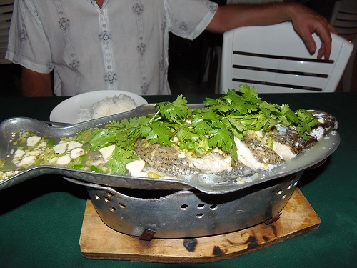 この魚はシーバス（スズキ）、蒸し焼きには最高です