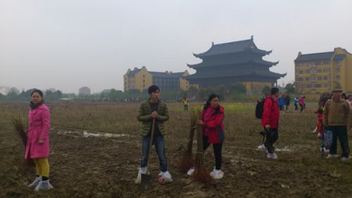 これから苗木を植えます