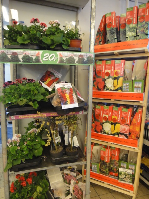 鉢植えや種、球根などがスーパーの軒先に並びます。