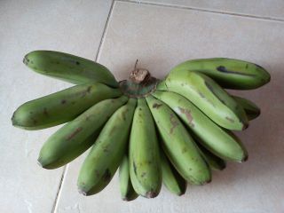 この量で2000ウガンダシリング（約70円）。味はジャガイモに近い。