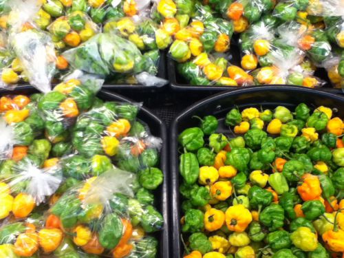 可愛らしいのは見た目だけ・スコッチボネット