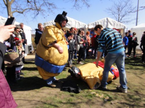 相撲体験も毎年人気です。