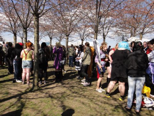 毎年恒例のコスプレも人数種類ともに増えています。