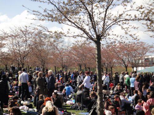 芝生が見えないほど人が集まりました。