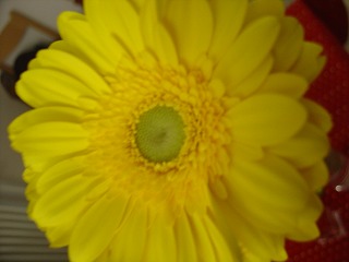 一輪の花をもらったことも一度あります。珍しい“試供品”（？）ですよね！