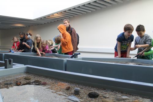 子供たちも直接触ることができます。