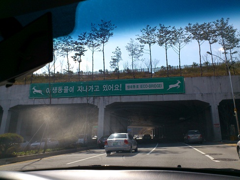 「野生動物が通過しています！生態通路（エコブリッジ）」の文字