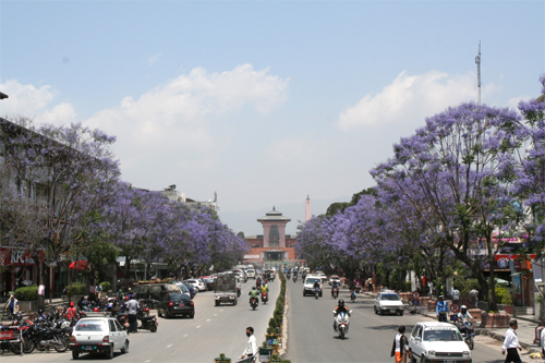 ナラヤンヒティ王宮博物館前の大通り