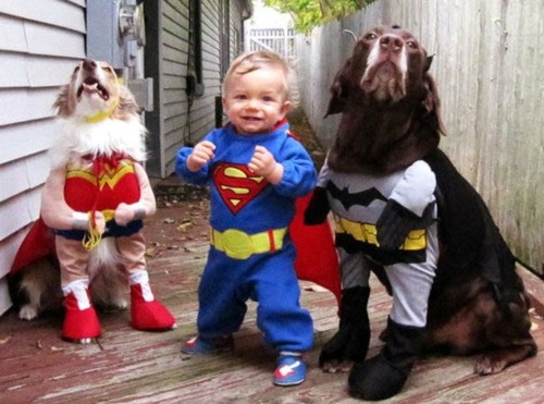 僕のヒーローは、ペットの犬たち！（写真提供：Ｂｌｏｇｈｕｎｄ）