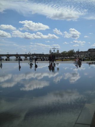 この観光地のすぐ近くの川岸にいるヌートリアたち