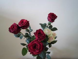 バラの花といえば、恋人や夫婦間でのギフトの定番