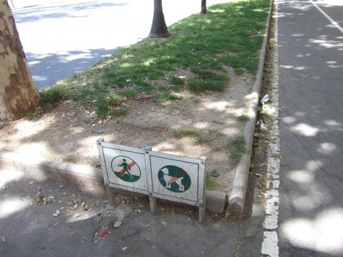 車道の真ん中の道路にて、整備が整っています