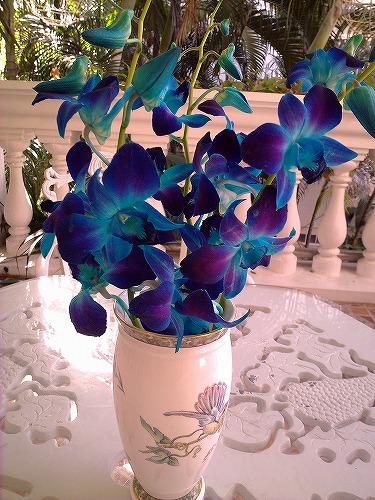 タイ人は顔をゆがめて「自然の色じゃない！」と