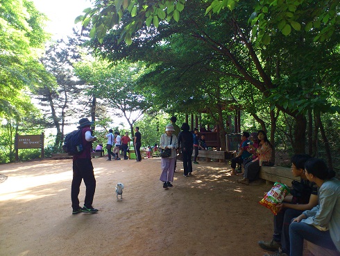 鶏足山城への分岐点にもなる休憩所、城跡に行くにはここから靴が必要
