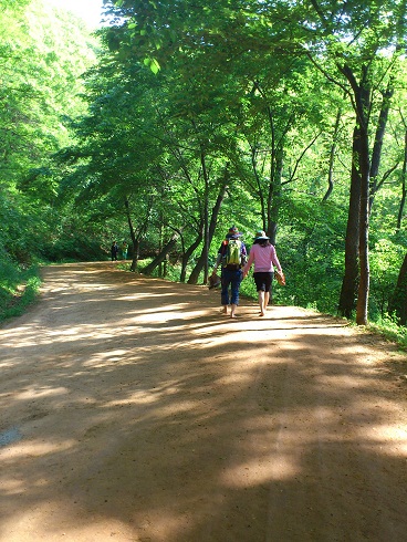 実際に裸足で歩く人も多く見かけます