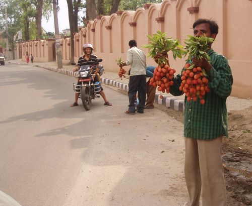 バイクの家族連れも値段交渉。