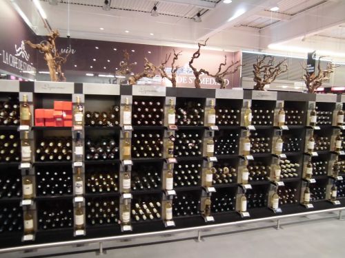 こんなところにぶどうの木！