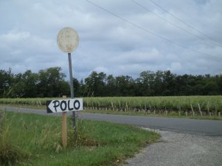 このちいちゃな看板を目印に