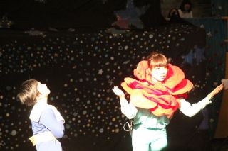 王子（左）はバラ（右）にけなされ……