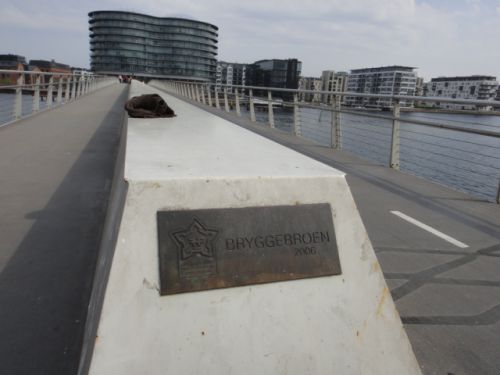 歩道専用の橋にだからかここにだけたくさんの鍵が付いているのです。